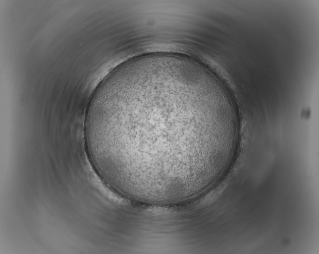 X0000111241033200907161336