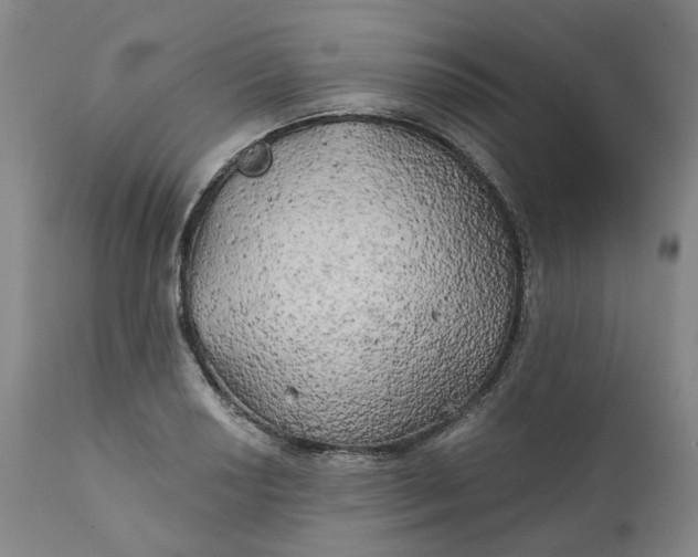 X0000111241034200907161336