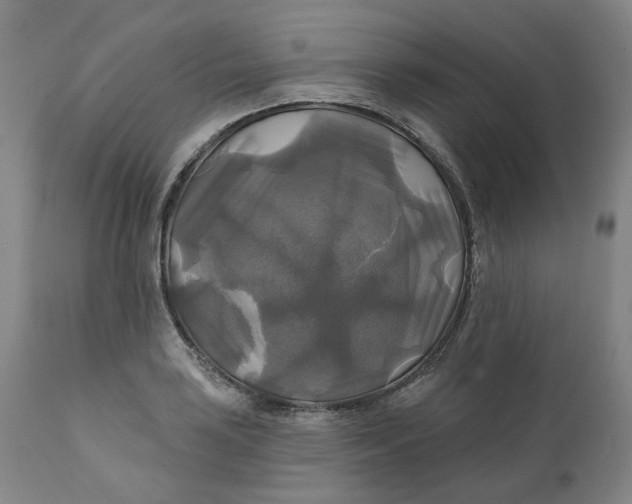 X0000111241035200907161336