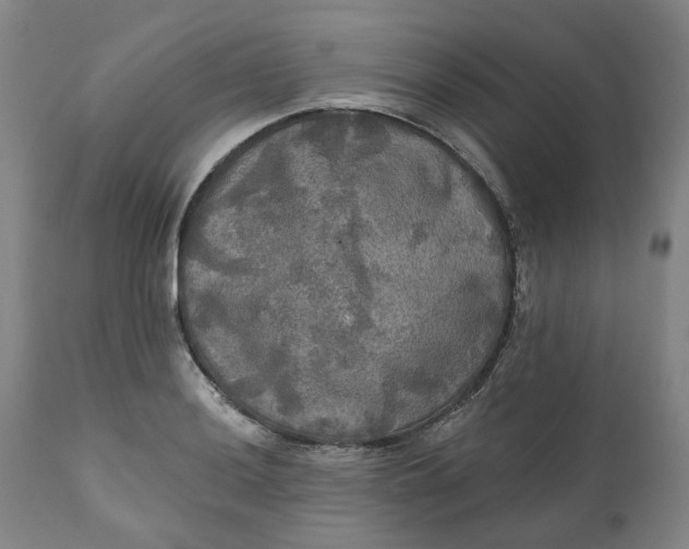 X0000111241036200907161336