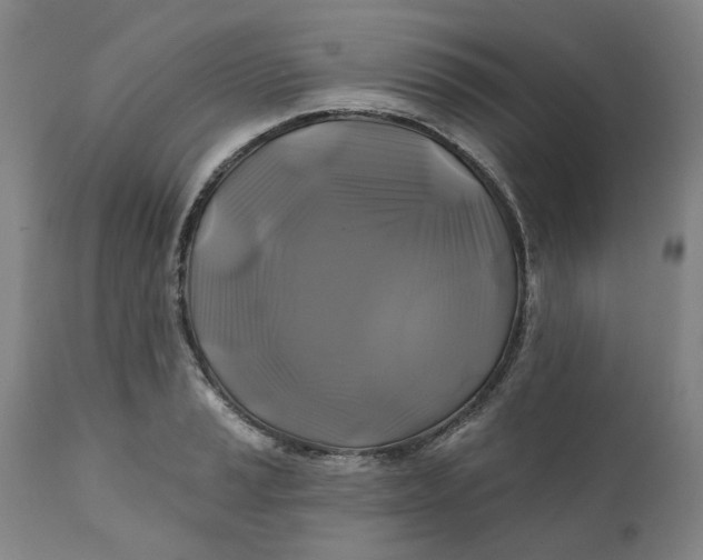 X0000111241037200907161336