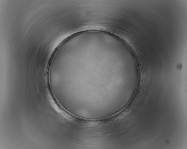 X0000111241038200907161336