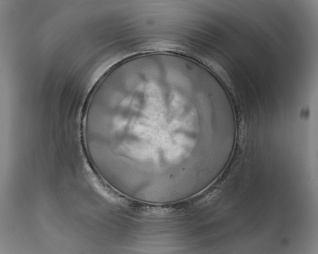 X0000111241039200907161336