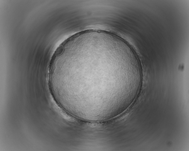 X0000111241040200907161336