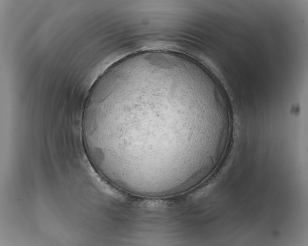 X0000111241041200907161336