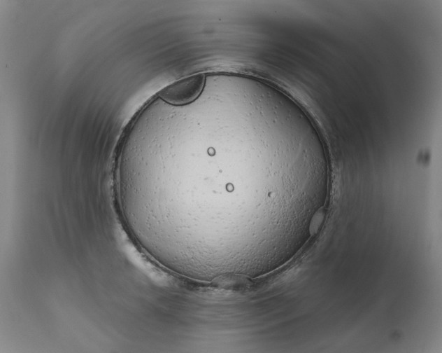 X0000111241042200907161336