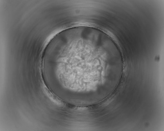 X0000111241043200907161336