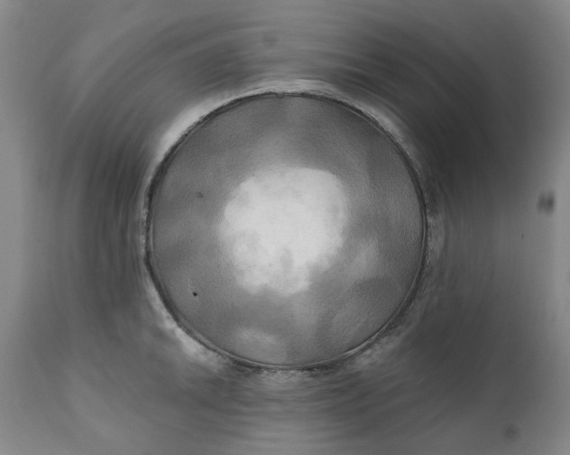 X0000111241046200907161336