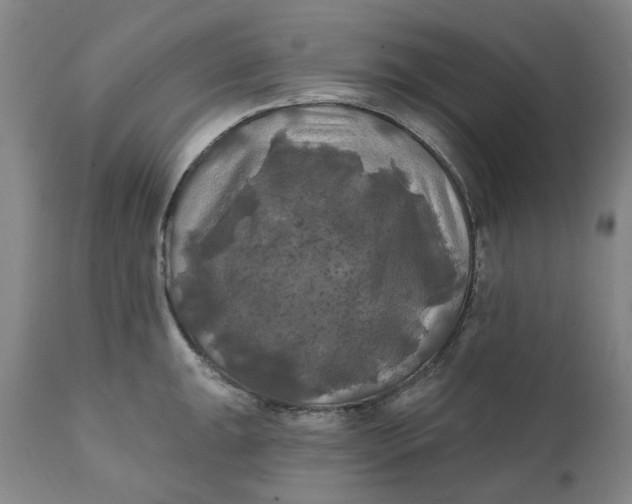 X0000111241047200907161336