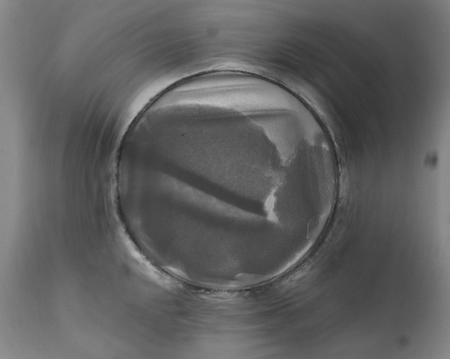 X0000111241048200907161336