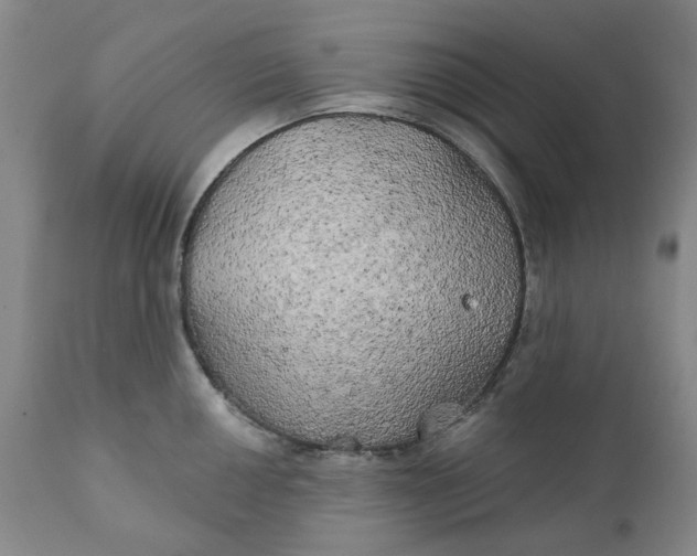 X0000111241050200907161336