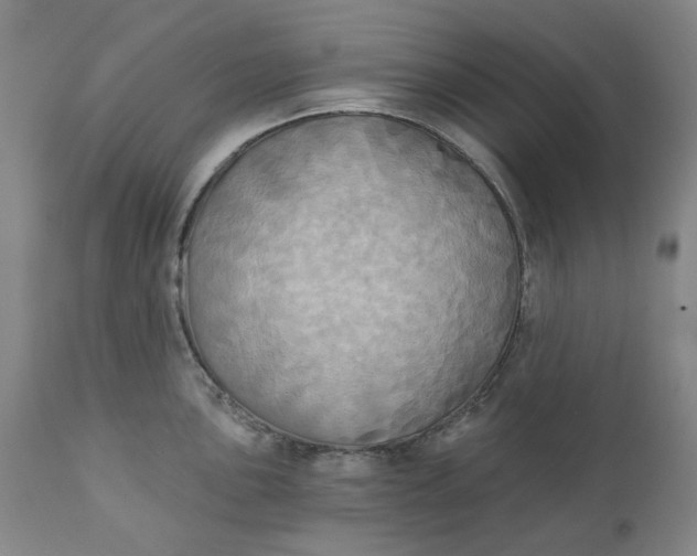 X0000111241051200907161336