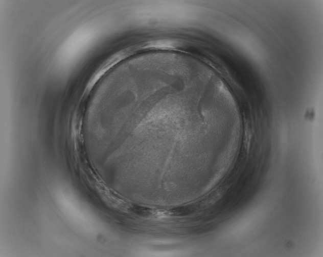 X0000111241052200907161336