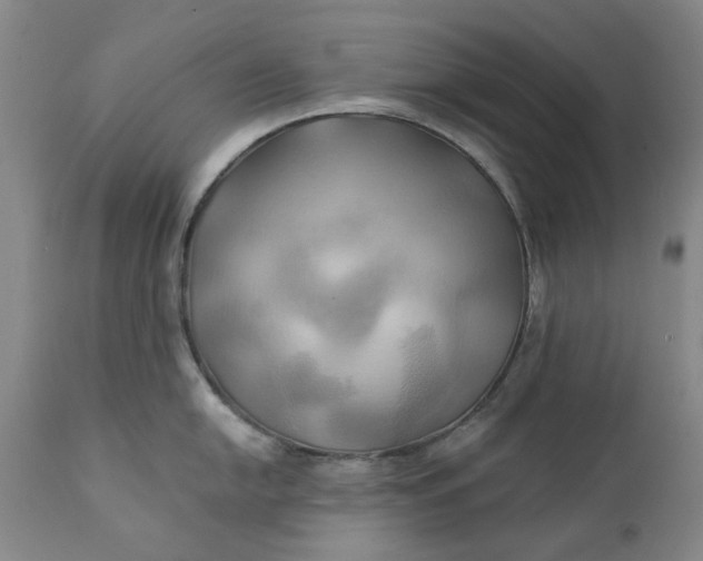 X0000111241054200907161336