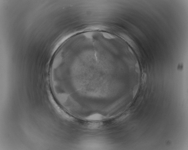 X0000111241055200907161336