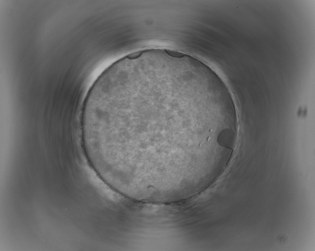 X0000111241056200907161336