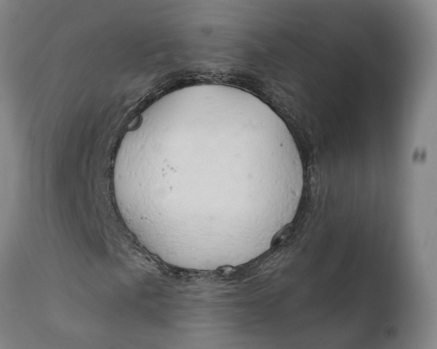 X0000111241057200907161335