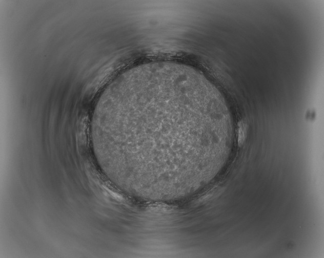 X0000111241059200907161335