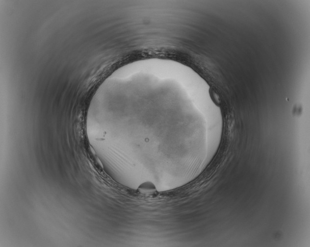 X0000111241060200907161335