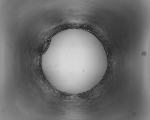 X0000111241061200907161335