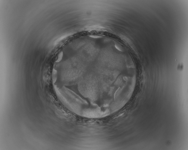 X0000111241063200907161335