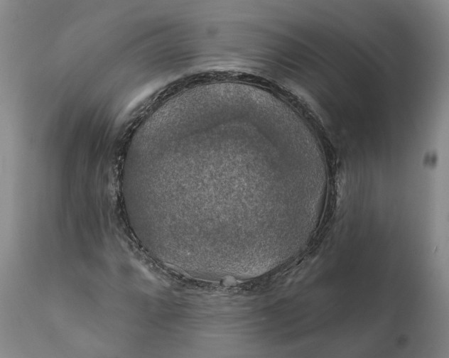 X0000111241064200907161335