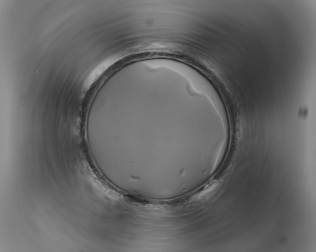 X0000111241066200907161335