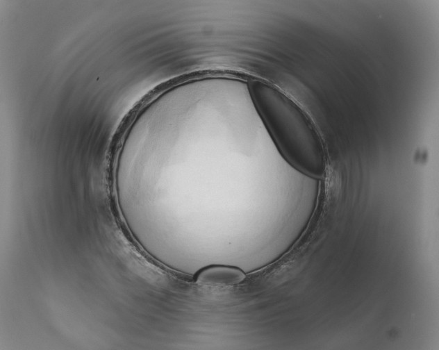 X0000111241068200907161335