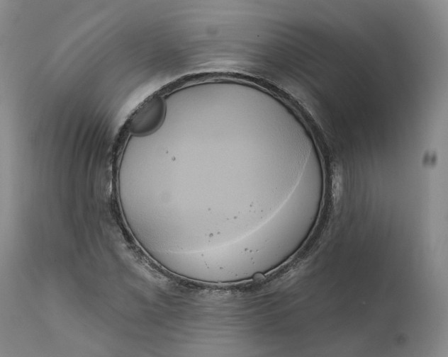 X0000111241069200907161335