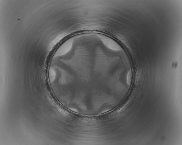 X0000111241071200907161335