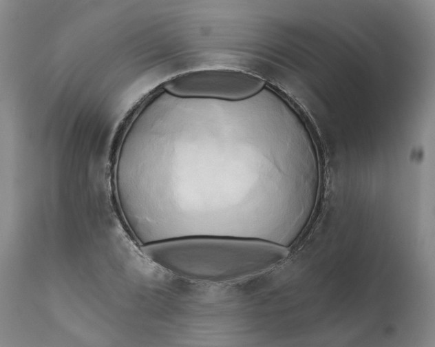 X0000111241072200907161335