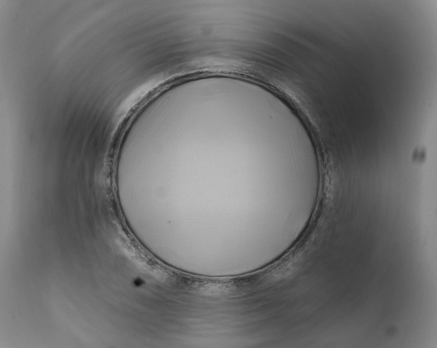 X0000111241074200907161335