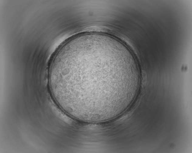 X0000111241075200907161335