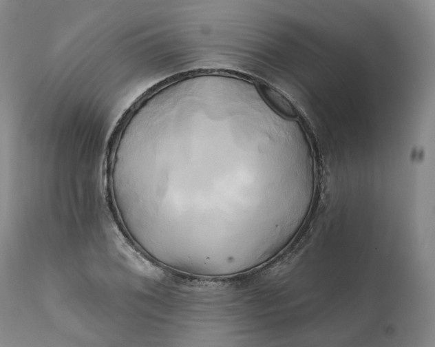 X0000111241076200907161335