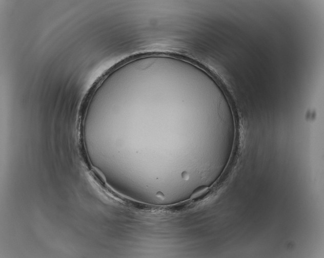 X0000111241077200907161335