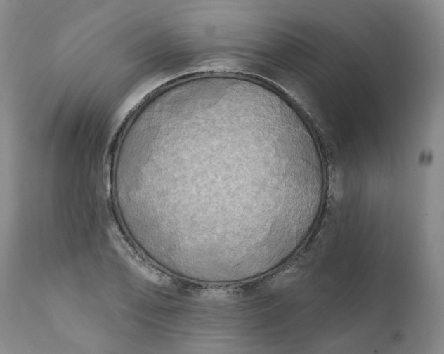 X0000111241078200907161335