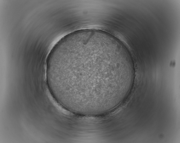 X0000111241079200907161335