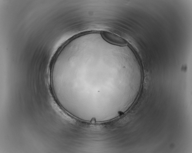 X0000111241080200907161335