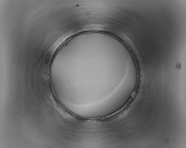 X0000111241081200907161335