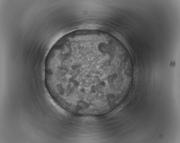 X0000111241083200907161335