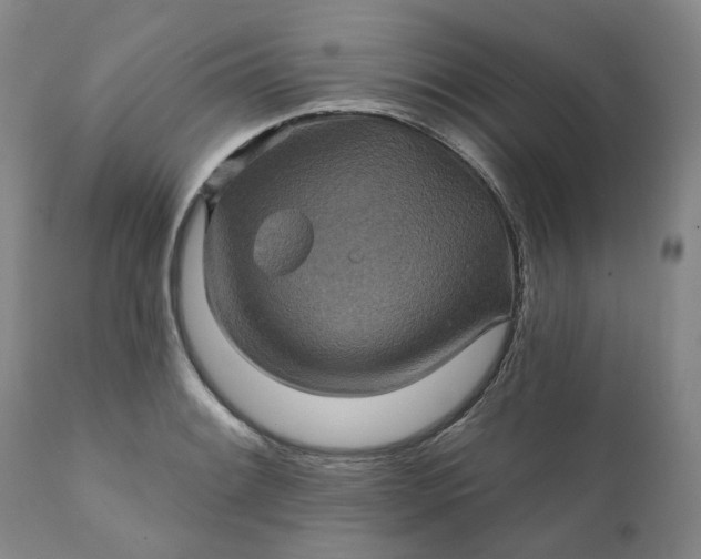 X0000111241084200907161335