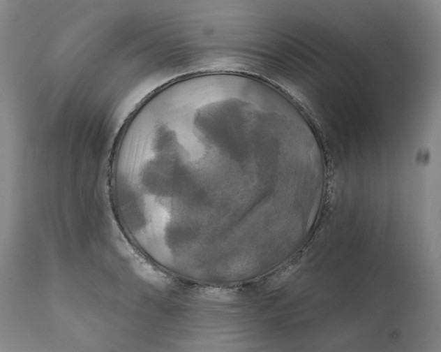 X0000111241086200907161335