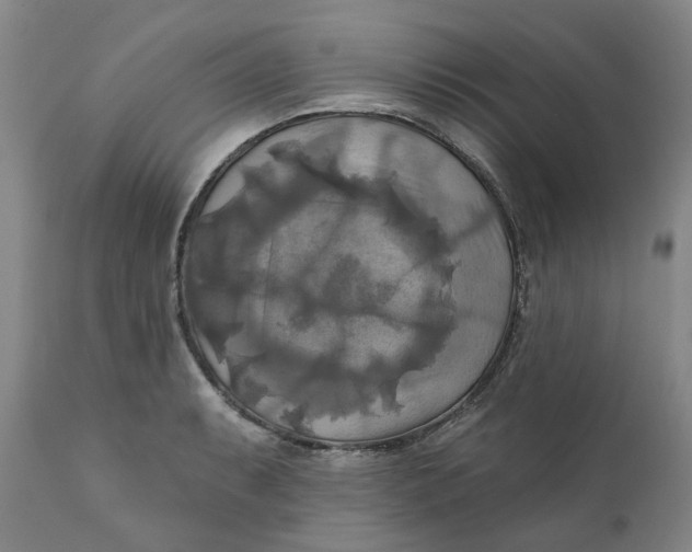 X0000111241087200907161335