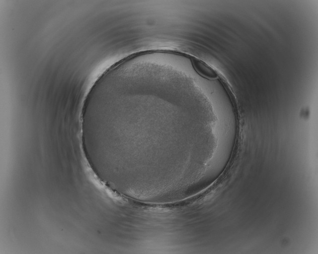 X0000111241088200907161335