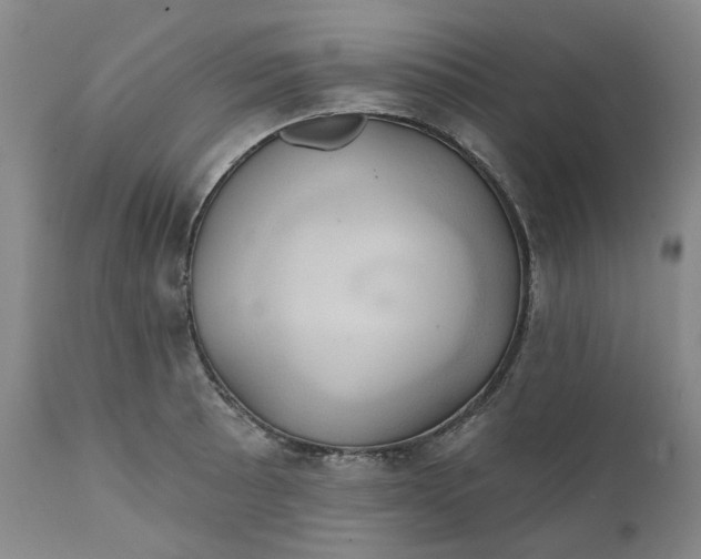 X0000111241089200907161335