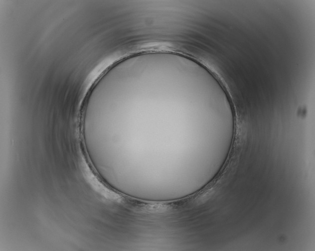 X0000111241090200907161335