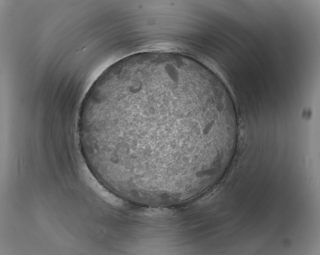 X0000111241091200907161335