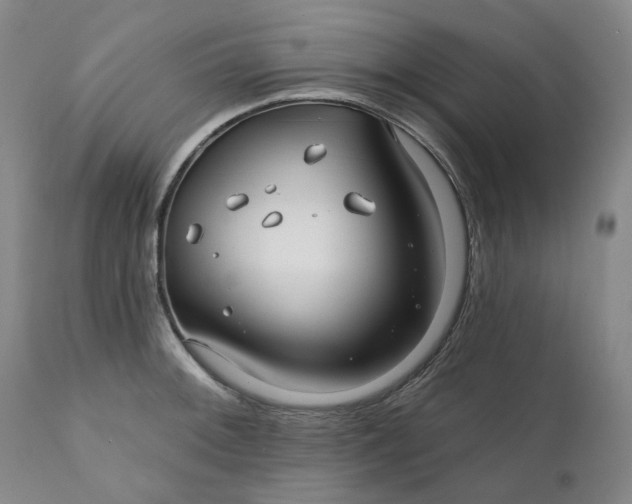 X0000111241092200907161335