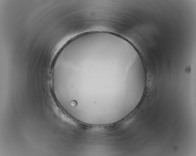 X0000111241094200907161335