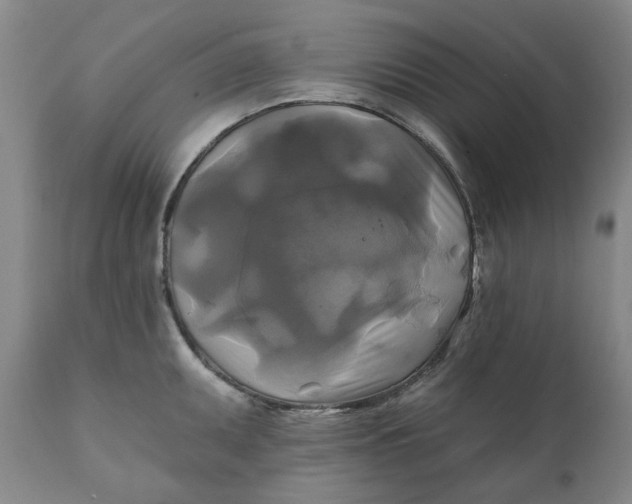 X0000111241095200907161335